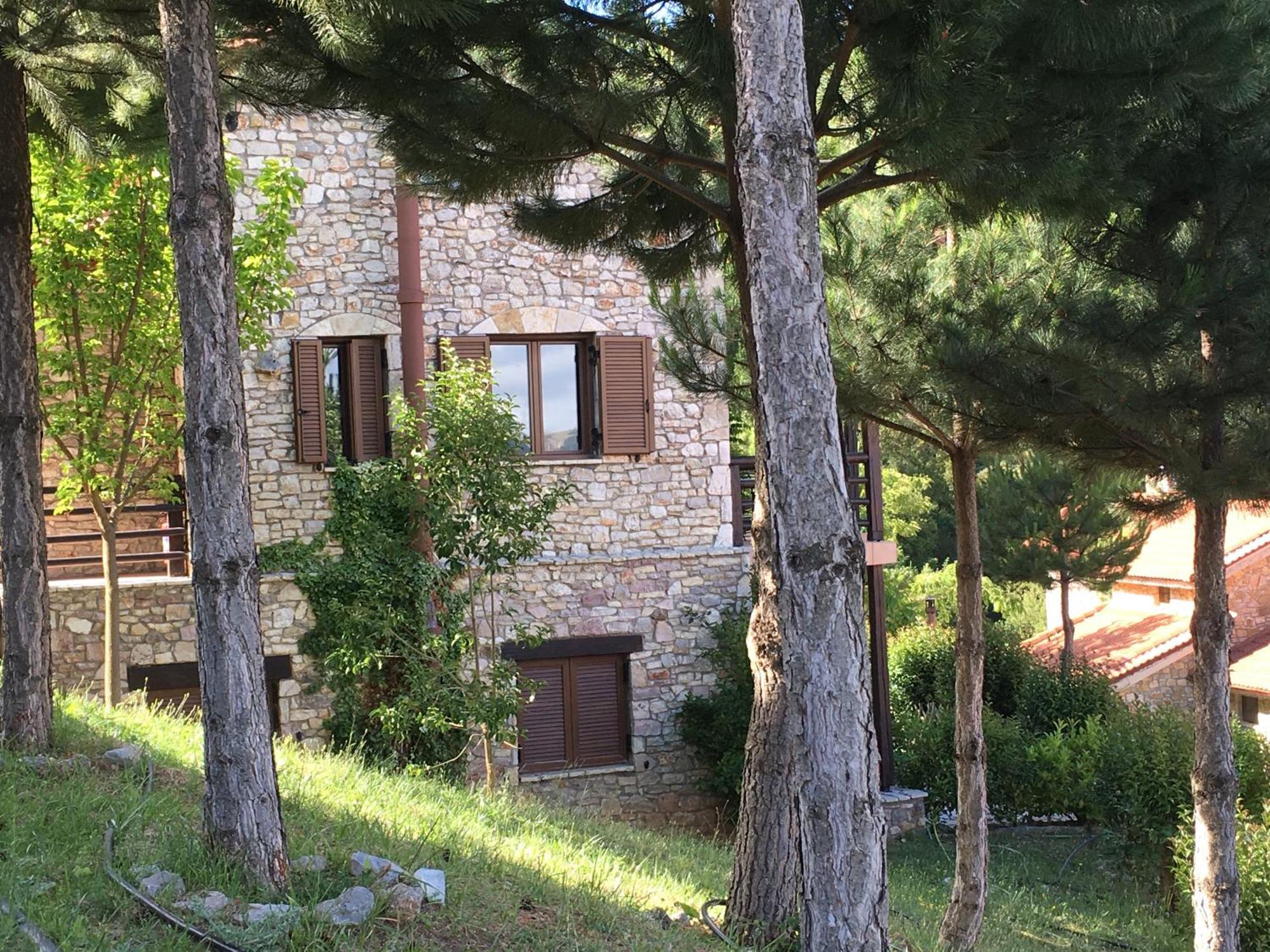 Georgio'S V Chalet Kalavrita エクステリア 写真